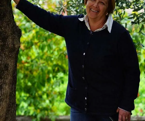 Misghecchino 폴리뇨